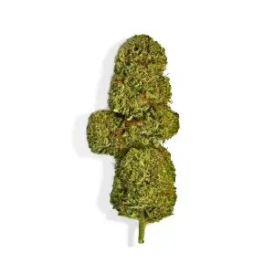 Wax OG Diamond