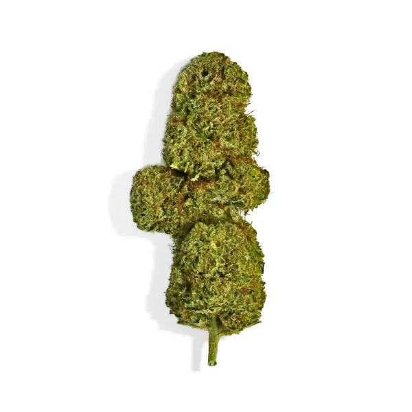 Wax OG Diamond