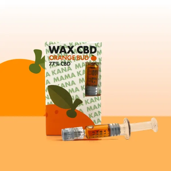Wax Orange Bud