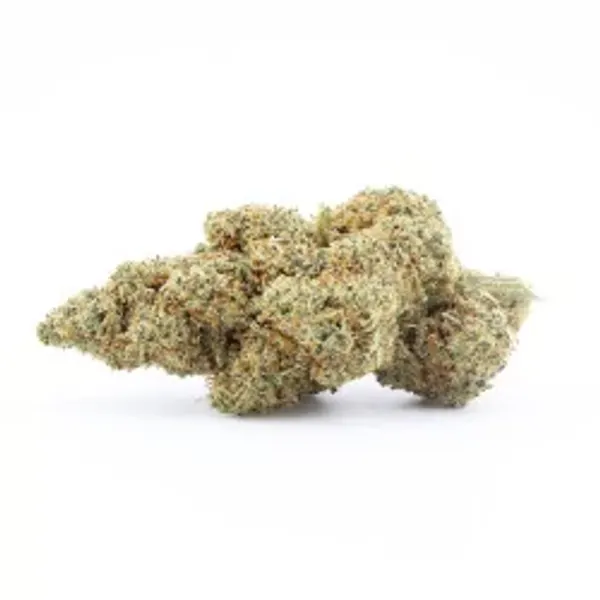 Zunzet Zkittlez